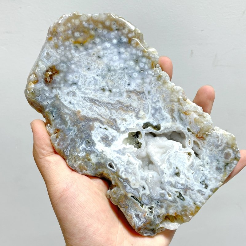 11 Pieces 6th Vein Ocean Jasper Slab - Wholesale Crystals