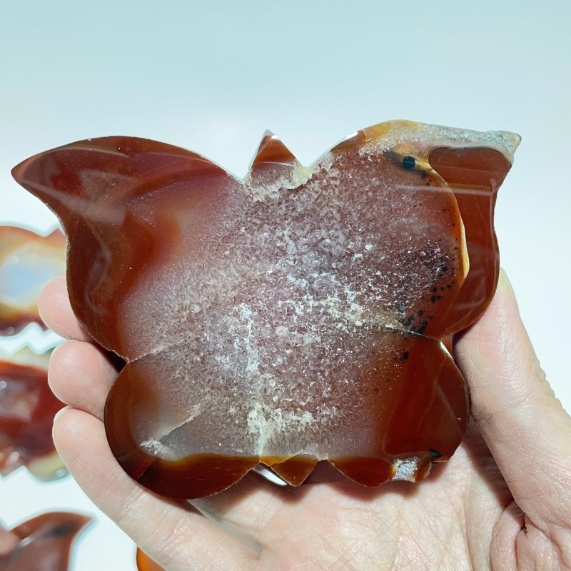 11 Pieces Carnelian Geode Druzy Butterfly Carving -Wholesale Crystals