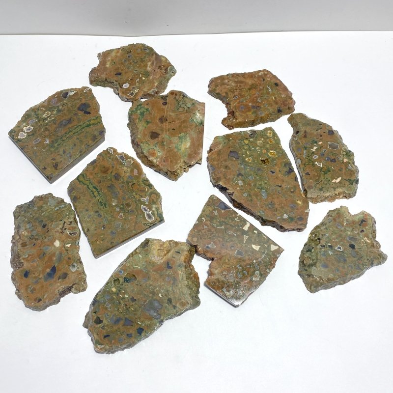 11 Pieces Peacock Eye Rain Forest Jasper Slab - Wholesale Crystals