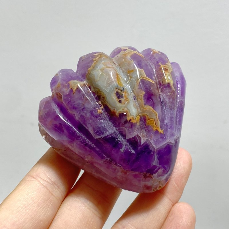 14 Pieces Amethyst Mixed Stripe Agate Shell Carving - Wholesale Crystals