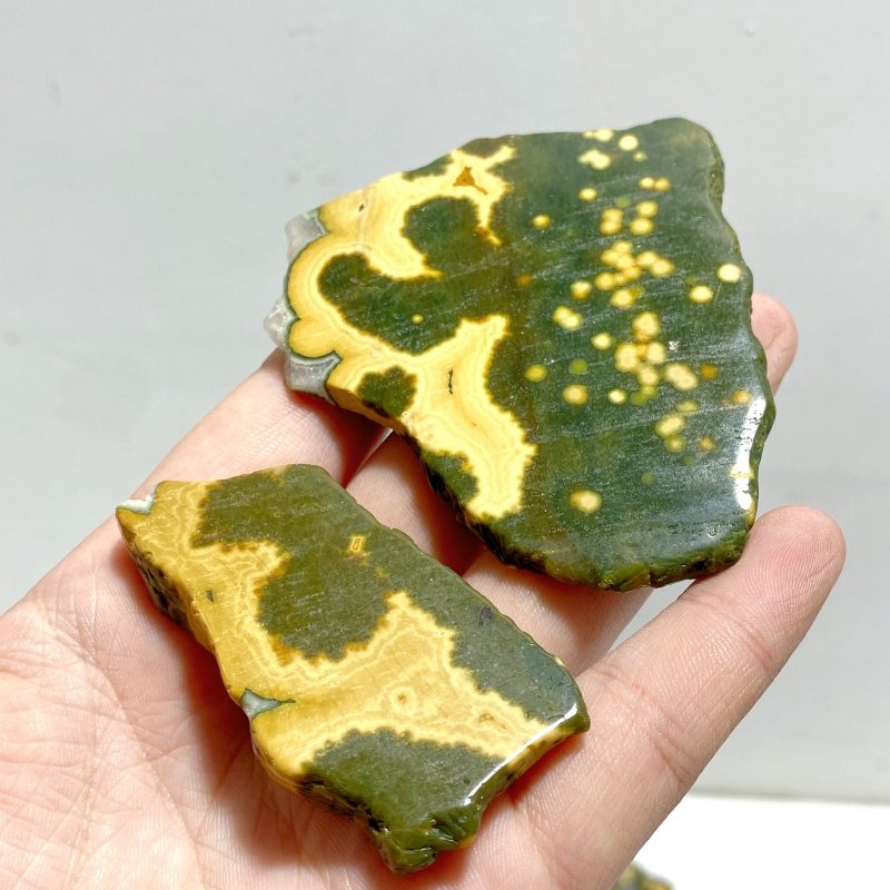 15 Pieces 8th Vein Ocean Jasper Slab - Wholesale Crystals