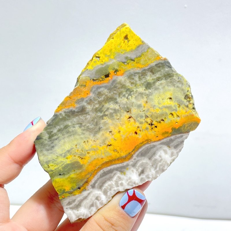 15 Pieces Beautiful Bumble Bee Jasper Polished Home Decor - Wholesale Crystals