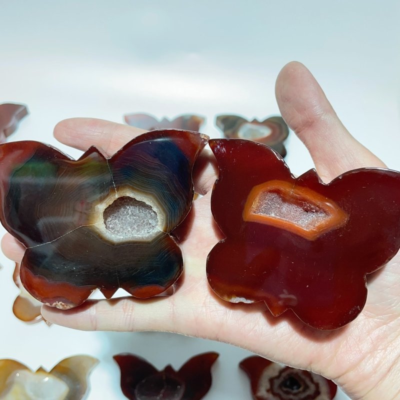 16 Pieces Carnelian Geode Druzy Butterfly Carving -Wholesale Crystals