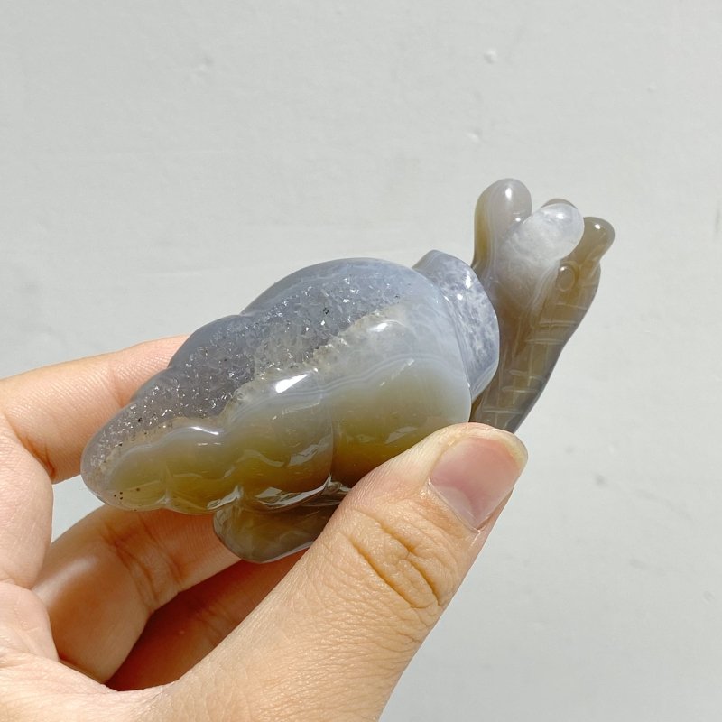18 Pieces Geode Druzy Agate Snail Carving - Wholesale Crystals