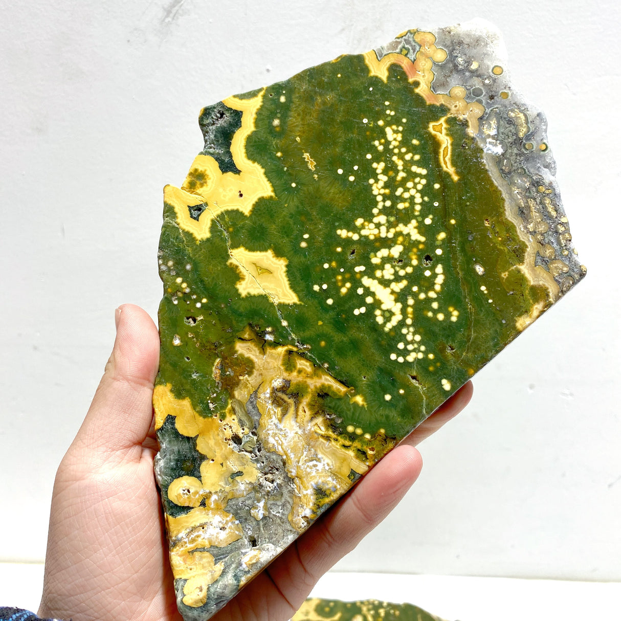 5 Pieces Large 8th Vein Ocean Jasper Slabs