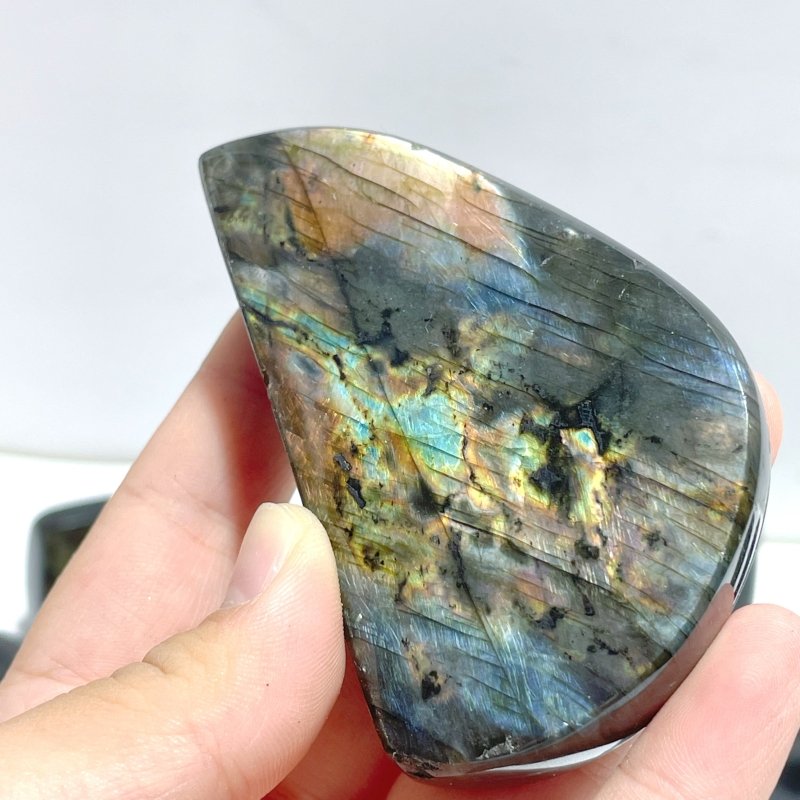19 Pieces High Quality Polished Labradorite Free Form - Wholesale Crystals