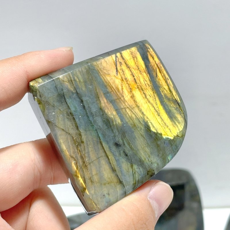 19 Pieces High Quality Polished Labradorite Free Form - Wholesale Crystals
