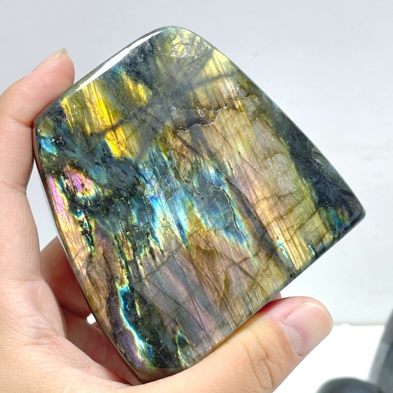 19 Pieces High Quality Polished Labradorite Free Form - Wholesale Crystals