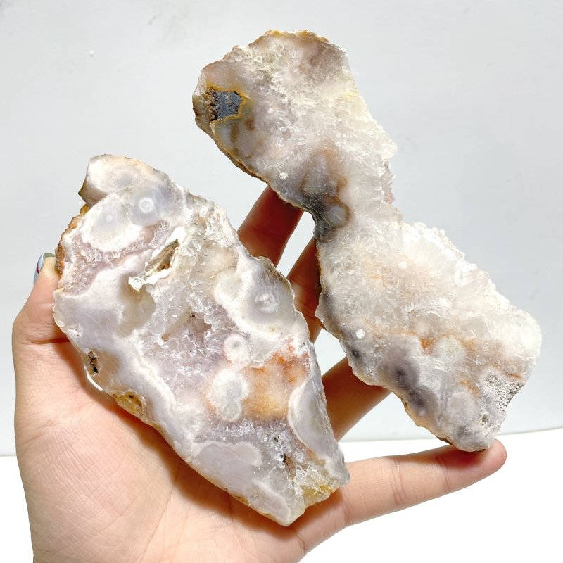 19 Pieces Sakura Flower Agate Slab - Wholesale Crystals