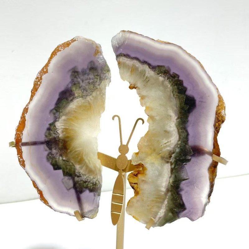 2 Pairs Fluorite Mixed Pyrite Butterfly Wing With Stand 8 - Wholesale Crystals