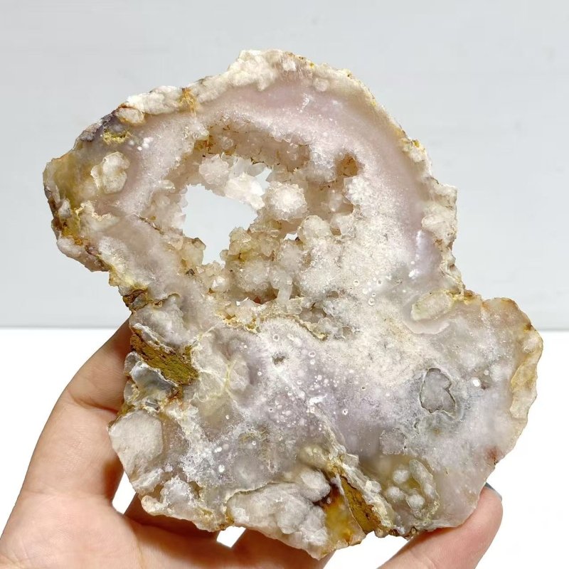 2 Pairs Geode Druzy Sakura Flower Agate Butterfly Wing With Stand - Wholesale Crystals