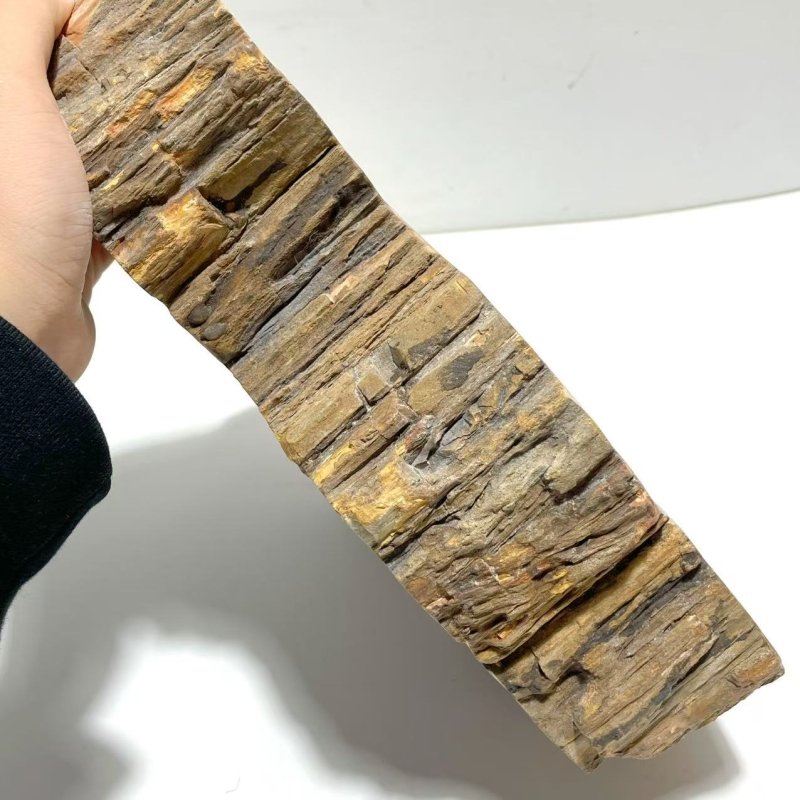 2 Pieces Large Petrified Wood Bowl - Wholesale Crystals