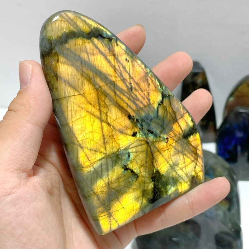 22 Pieces Beautiful High Quality Polished Labradorite Free Form - Wholesale Crystals