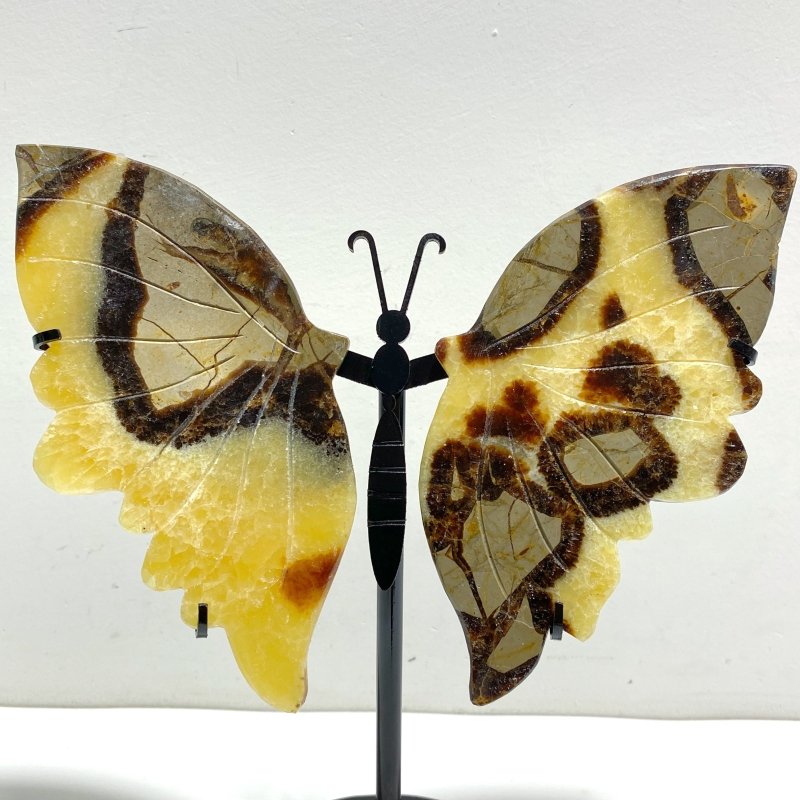 3 Pairs Septarium Butterfly Wing Carving With Stand 3 - Wholesale Crystals