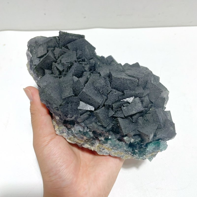 3 Pieces Large Blue Fluorite Mixed Pyrite Raw Stone Specimen - Wholesale Crystals