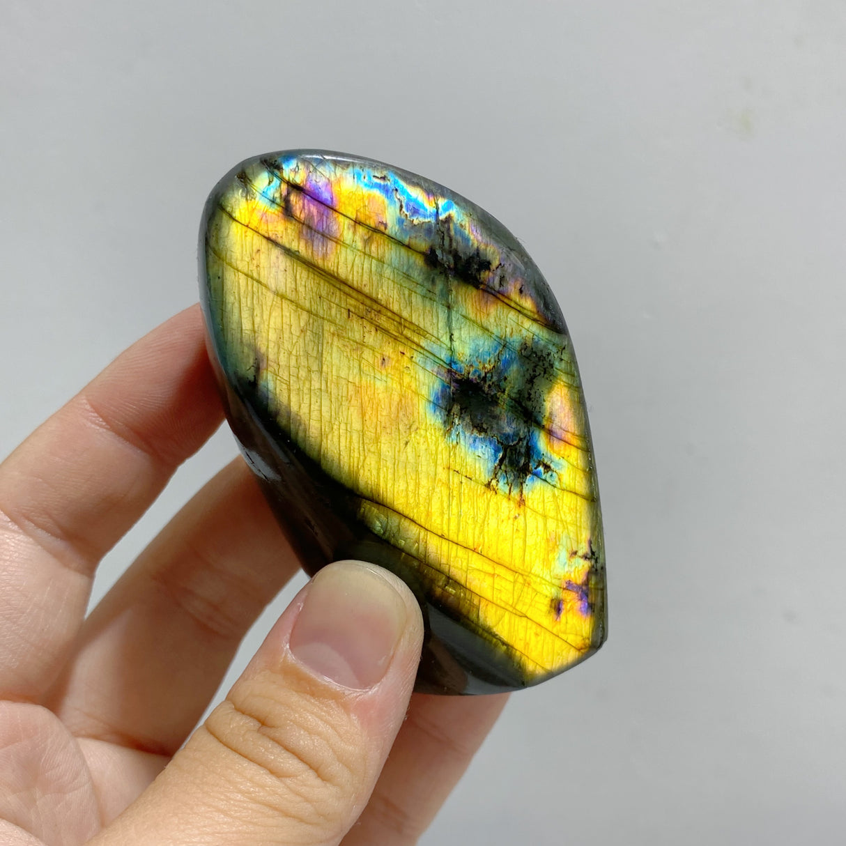 22 Pieces Polished Labradorite Free Form