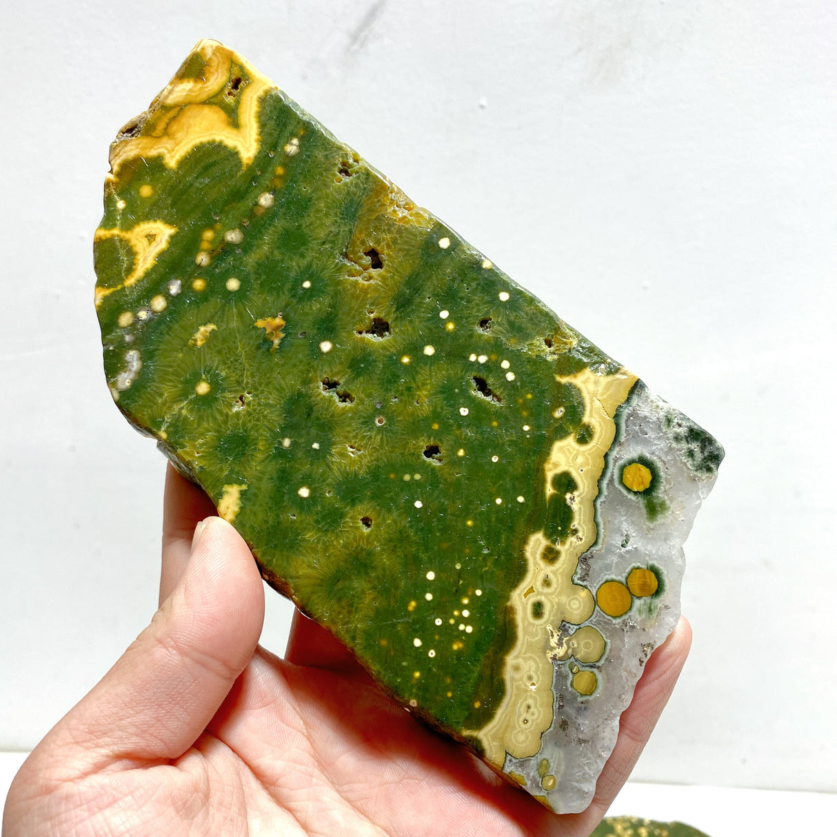 5 Pieces Large 8th Vein Ocean Jasper Slabs