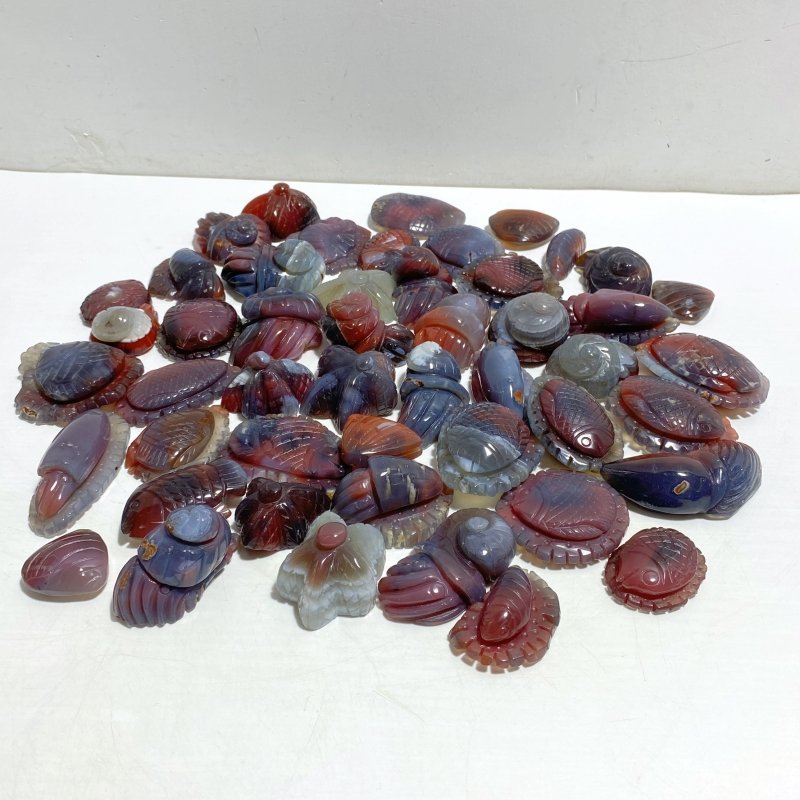 49 Pieces Africa Red Agate Sea Animals Carving -Wholesale Crystals