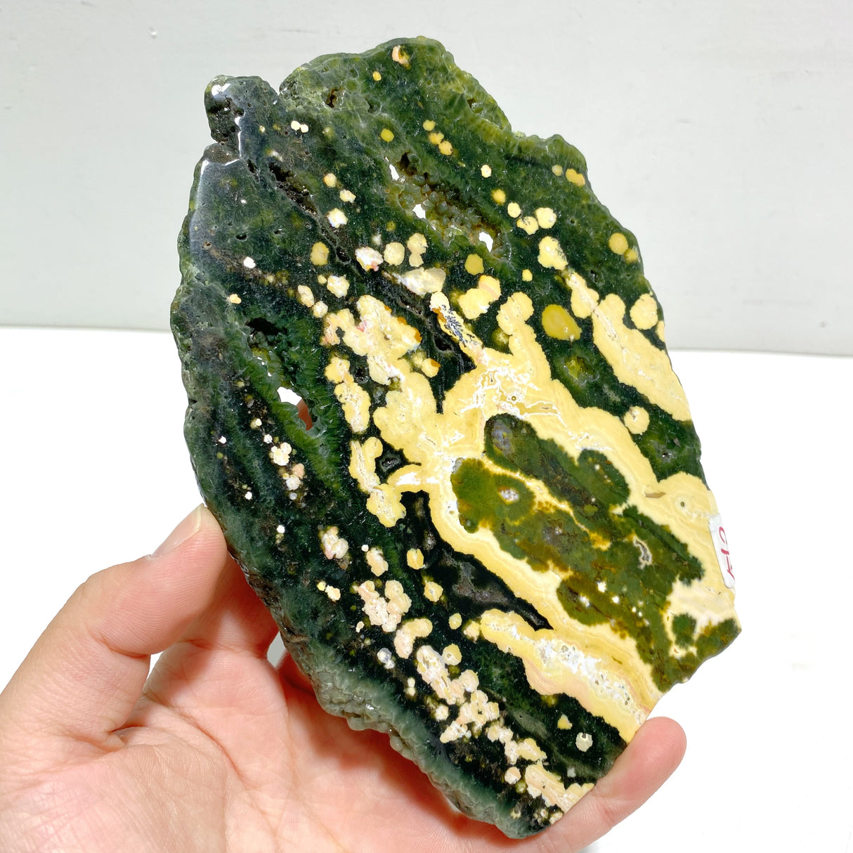 Unique 8th Vein Ocean Jasper Slab With Stand #2