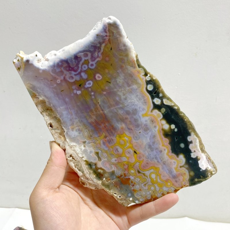 5 Pieces 8th Vein Ocean Jasper Slab -Wholesale Crystals