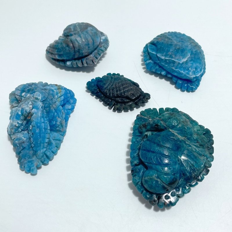 5 Pieces Apatite Sea Animals Carving - Wholesale Crystals