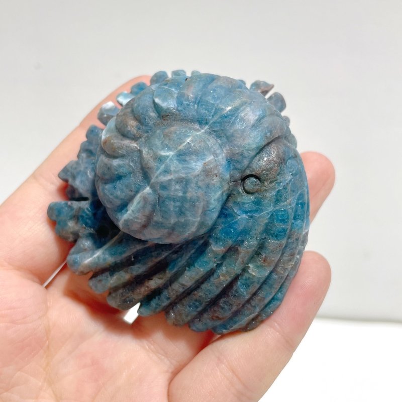 5 Pieces Apatite Sea Animals Carving - Wholesale Crystals