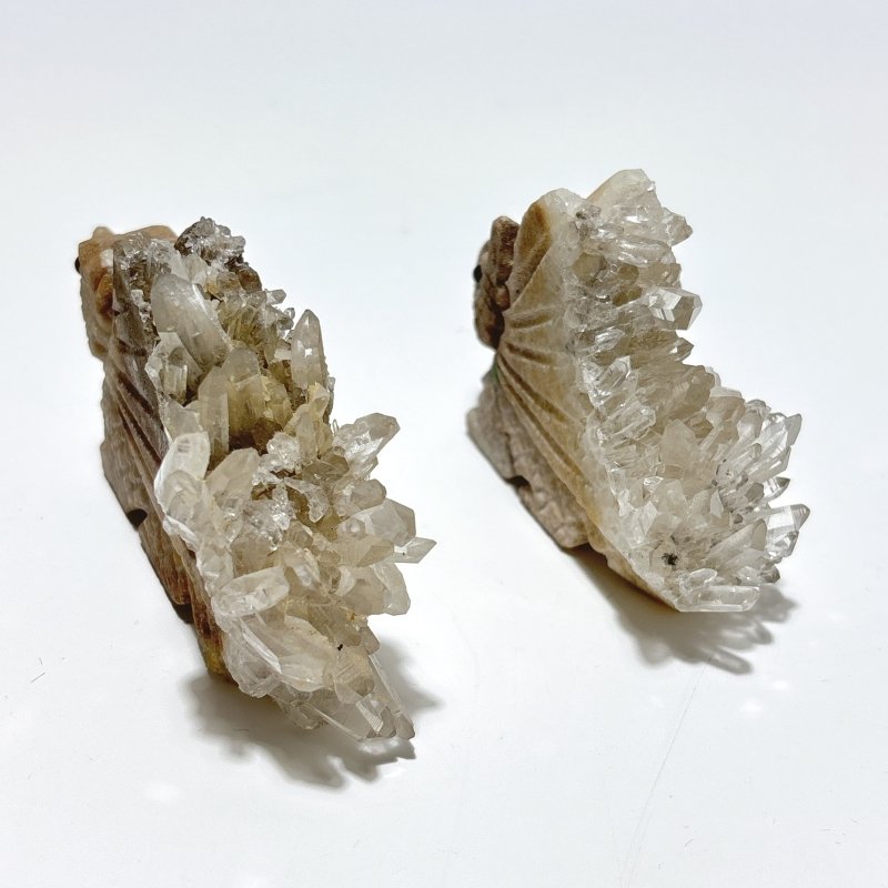5 Pieces Cute Quartz Cluster Animals Carving - Wholesale Crystals
