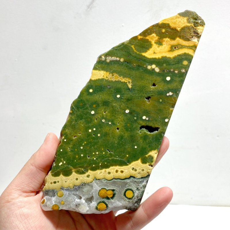 5 Pieces Large 8th Vein Ocean Jasper Slabs - Wholesale Crystals
