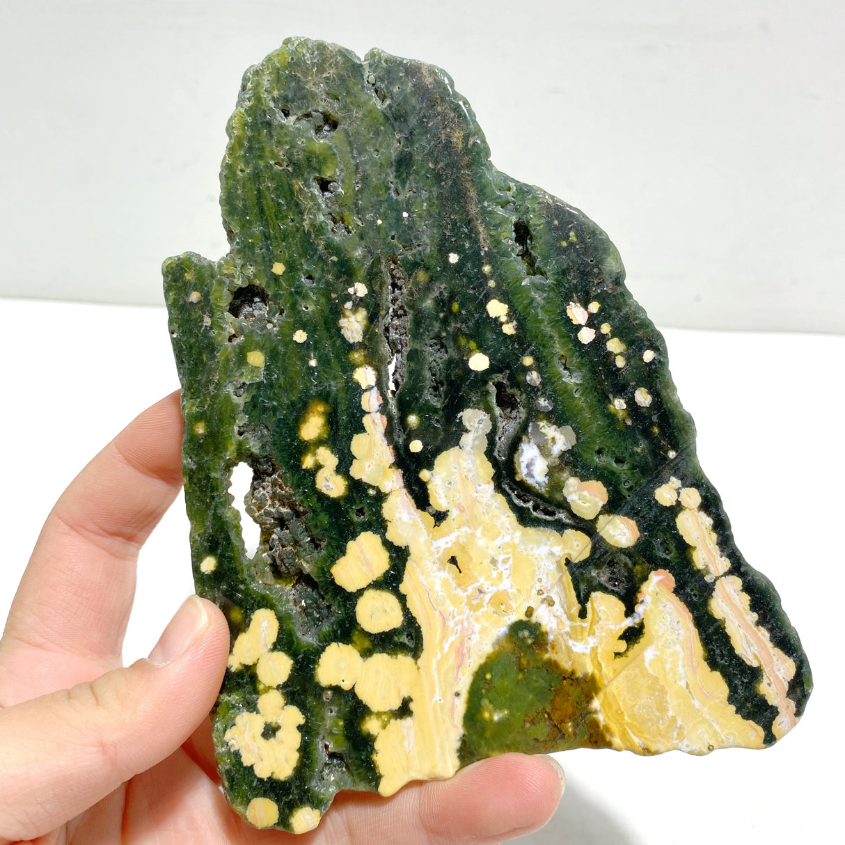 Unique 8th Vein Ocean Jasper Slab With Stand #6