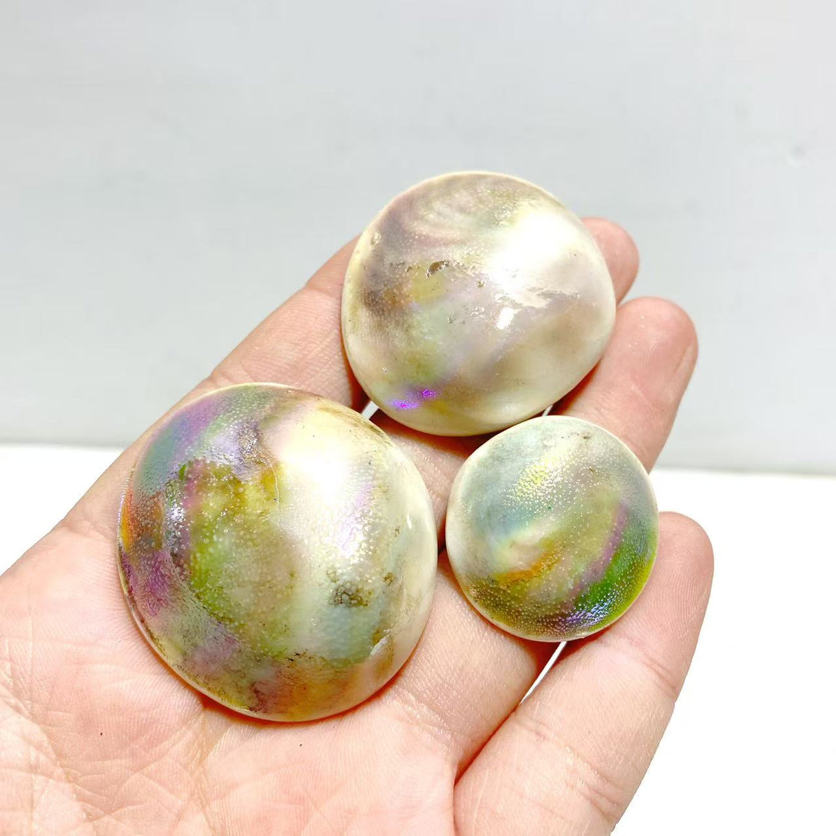 Aura Shell Fossil Wholesale