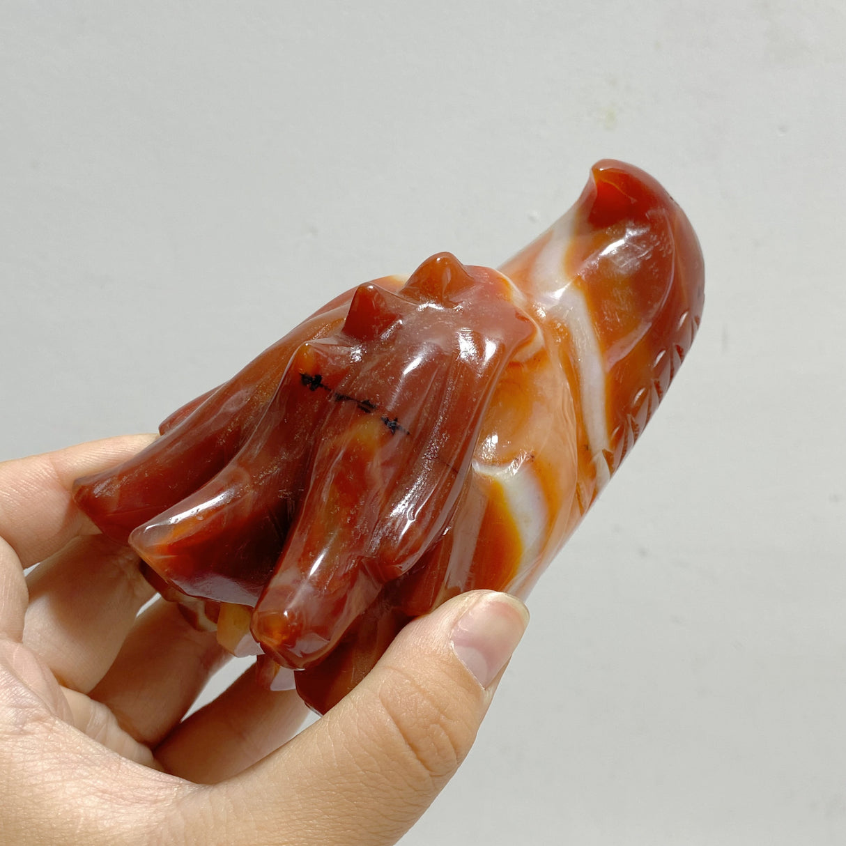 9 Pieces Carnelian Dragon Head Carving