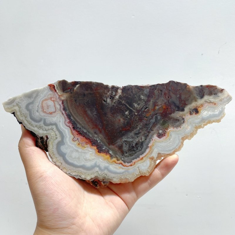 6 Pieces Beautiful Morocco Agate Cloud Shape Polished Slab - Wholesale Crystals