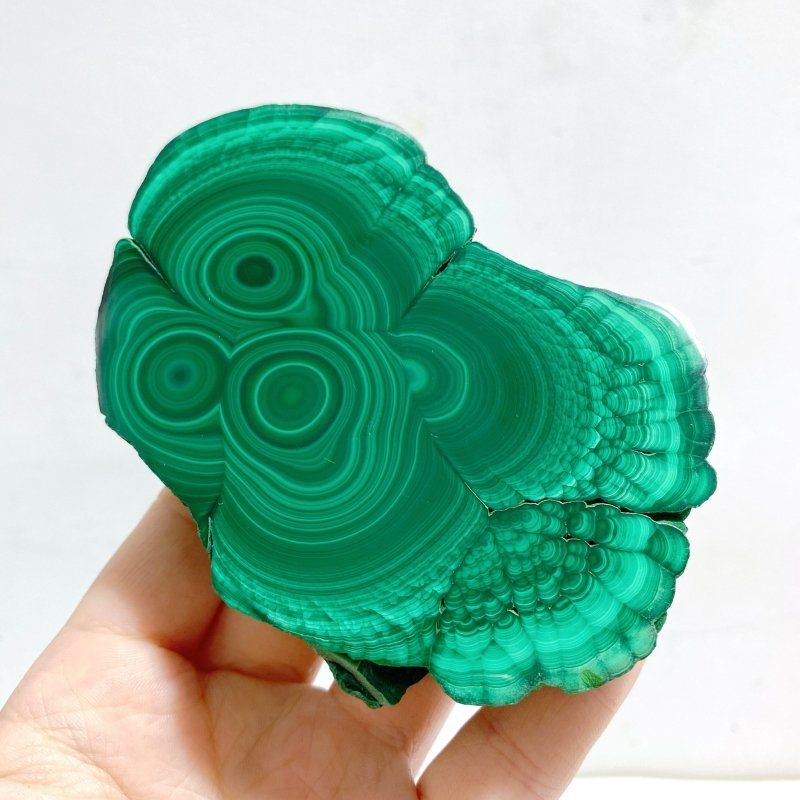 6 Pieces High Quality Malachite Slab - Wholesale Crystals
