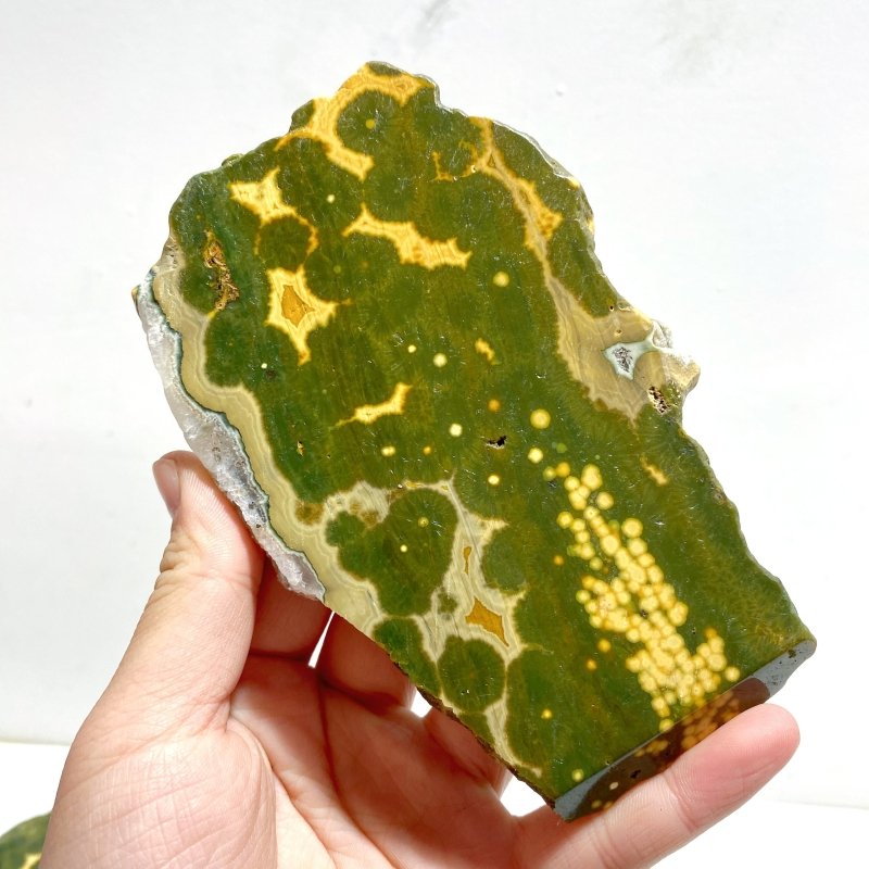 6 Pieces Large 8th Vein Ocean Jasper Slabs - Wholesale Crystals