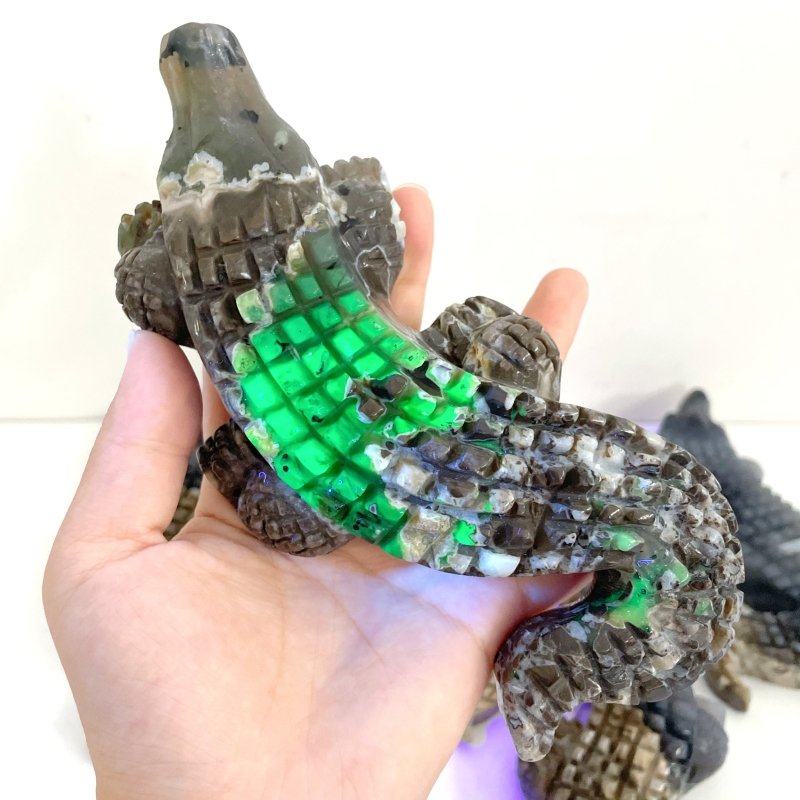 6 Pieces Large Volcano Agate Crocodile Carving(UV - Reactive) - Wholesale Crystals