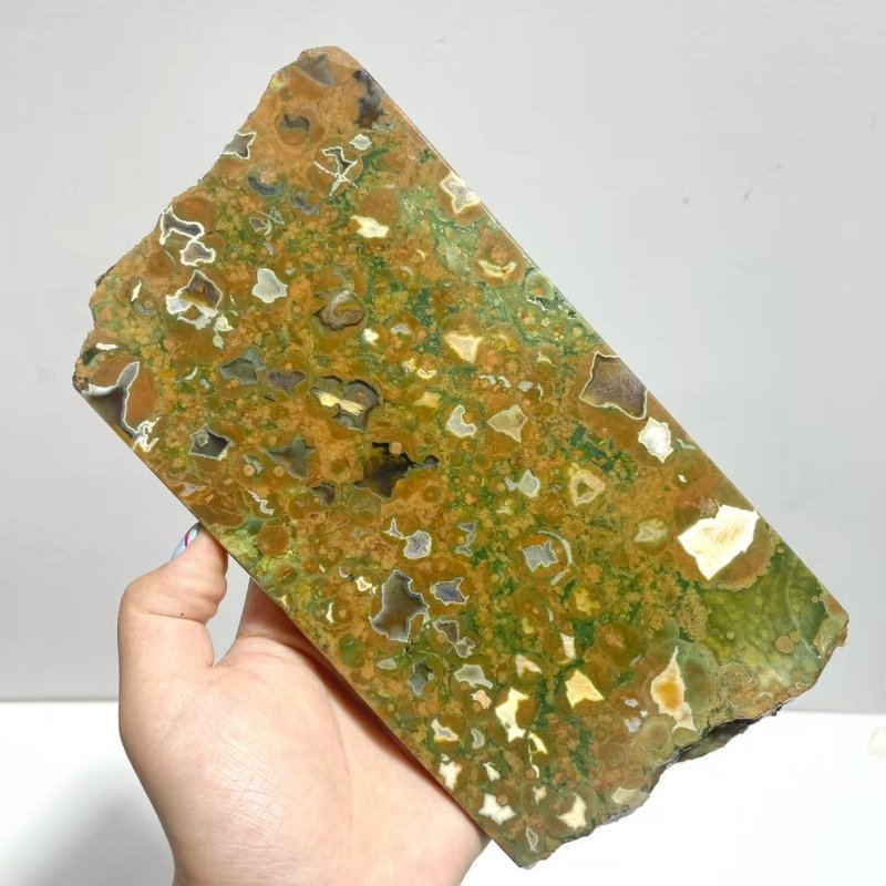 6 Pieces Peacock Eye Rain Forest Jasper Slab - Wholesale Crystals