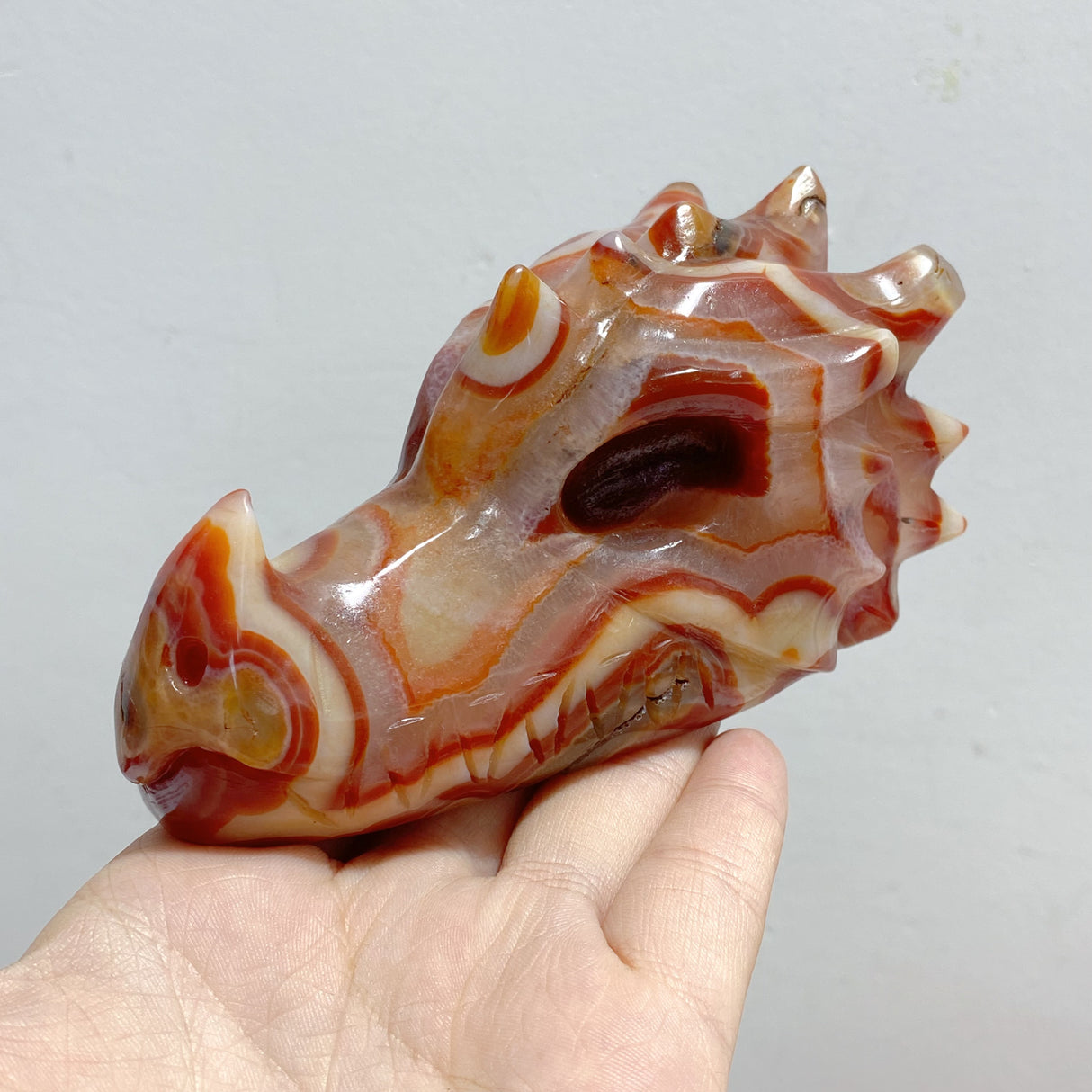 9 Pieces Carnelian Dragon Head Carving