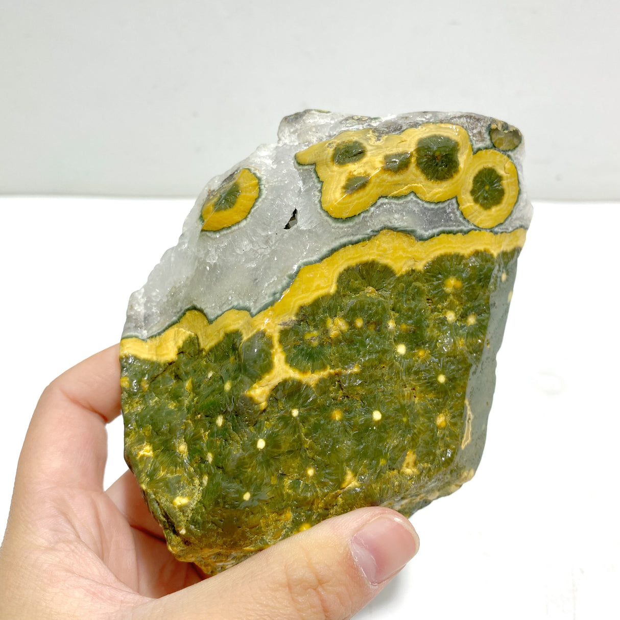 Unique 8th Vein Ocean Jasper Slab With Stand #3