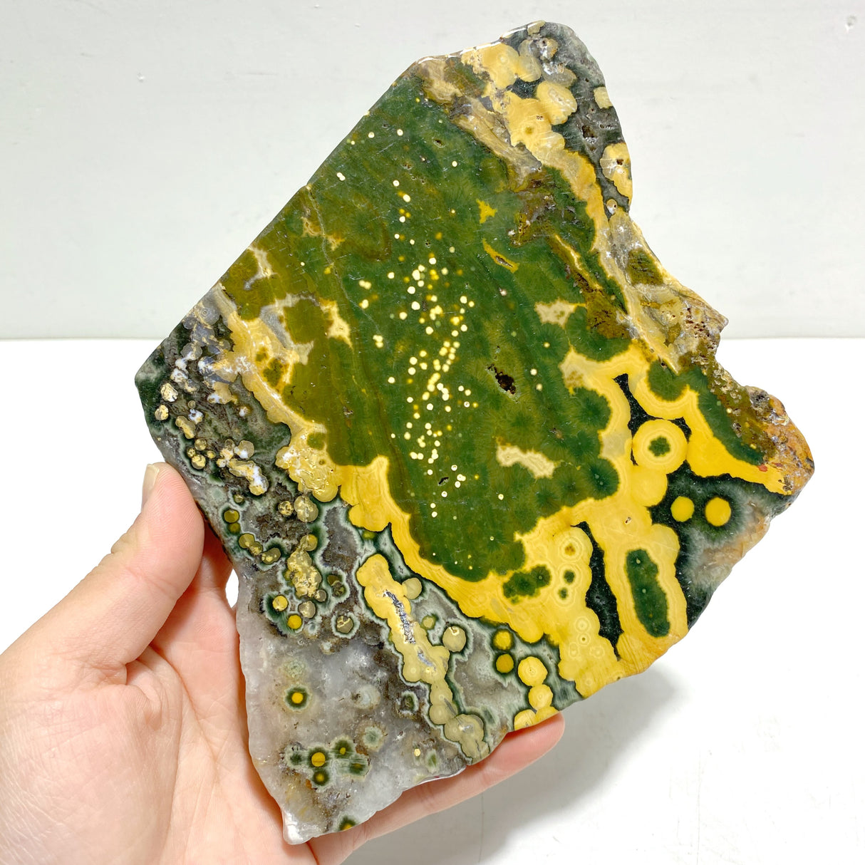 Unique 8th Vein Ocean Jasper Slab With Stand #4