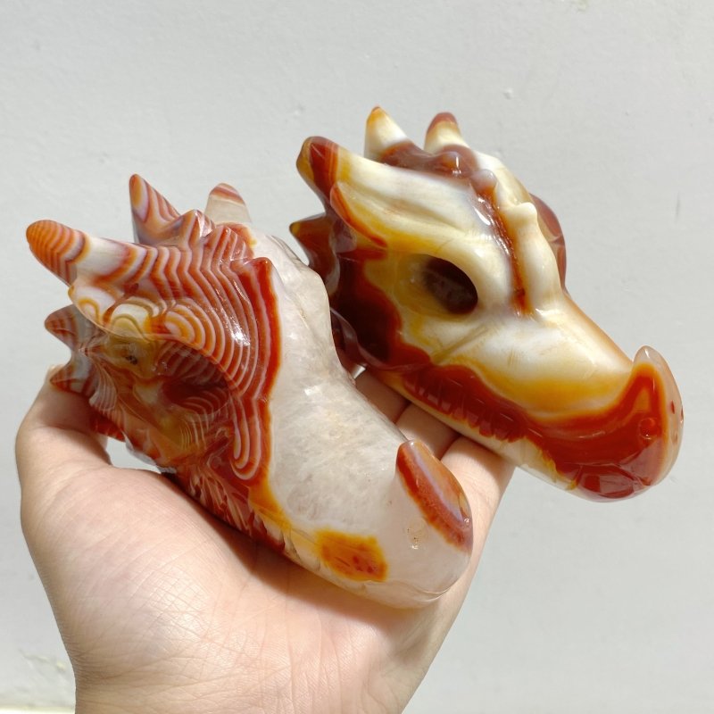 7 Pieces Carnelian Dragon Head Carving -Wholesale Crystals