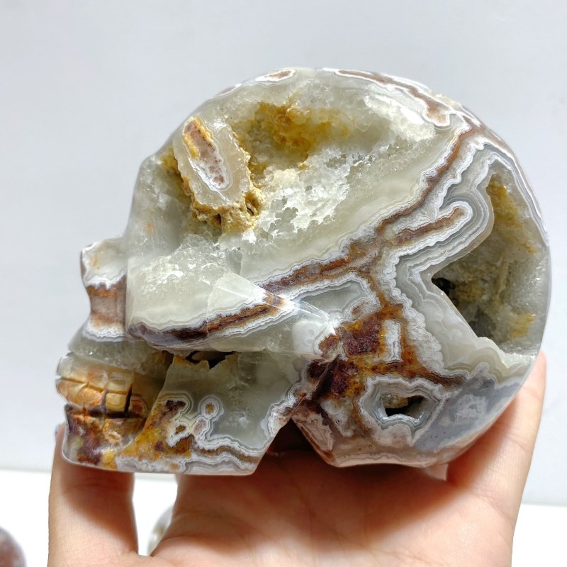 7 Pieces Geode Druzy Morocco Agate Skull Carving 3 - Wholesale Crystals