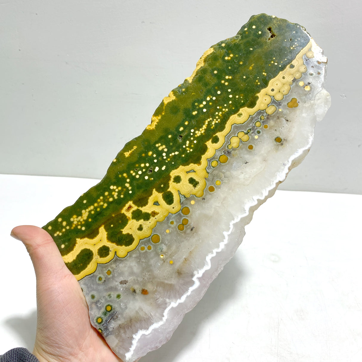 Unique 8th Vein Ocean Jasper Slab With Stand #12