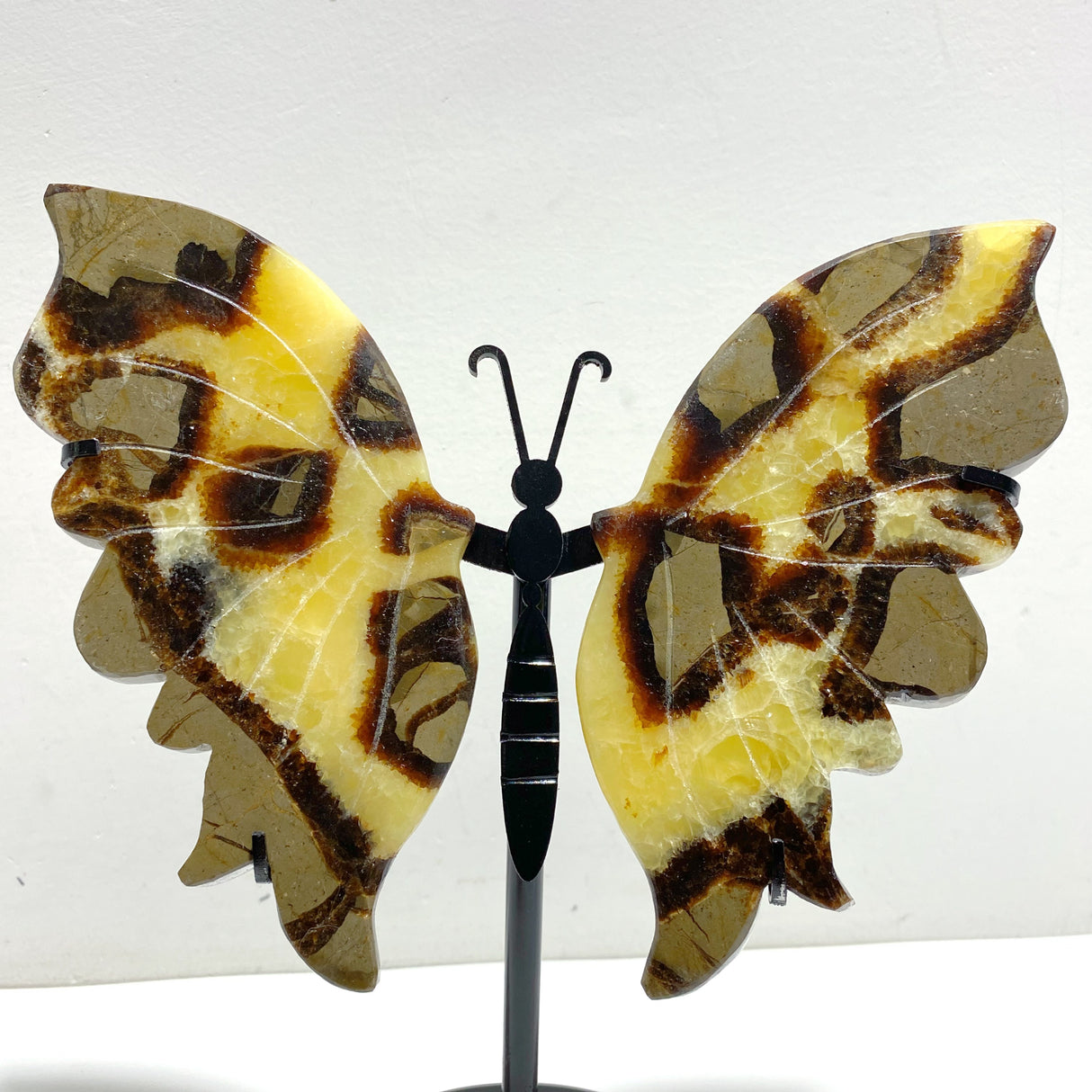 4 Pairs Septarium Butterfly Wing Carving With Stand #2