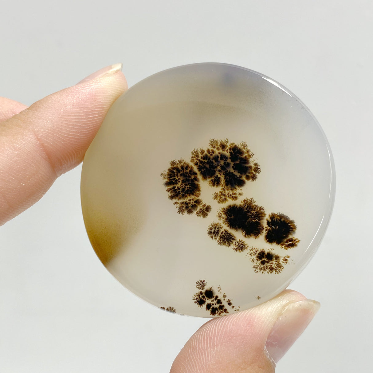 11 Pieces Natural Rare Scenic Dendritic Agate Stone