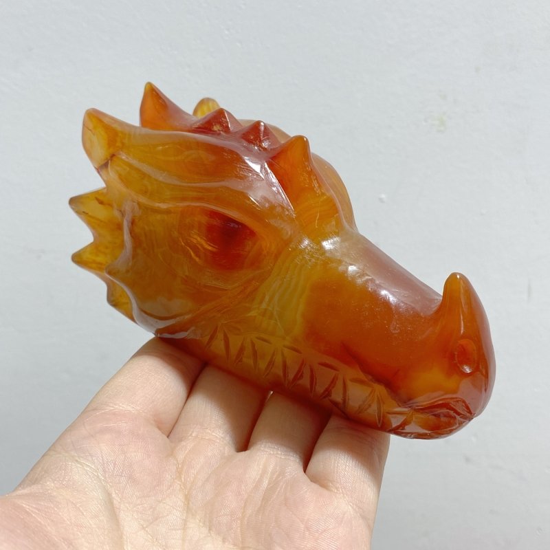 8 Pieces Carnelian Dragon Head Carving -Wholesale Crystals
