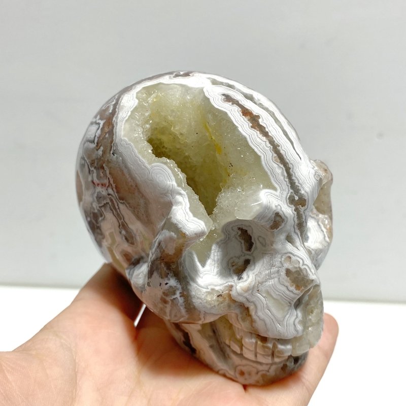 8 Pieces Geode Druzy Morocco Agate Skull Carving 1 - Wholesale Crystals