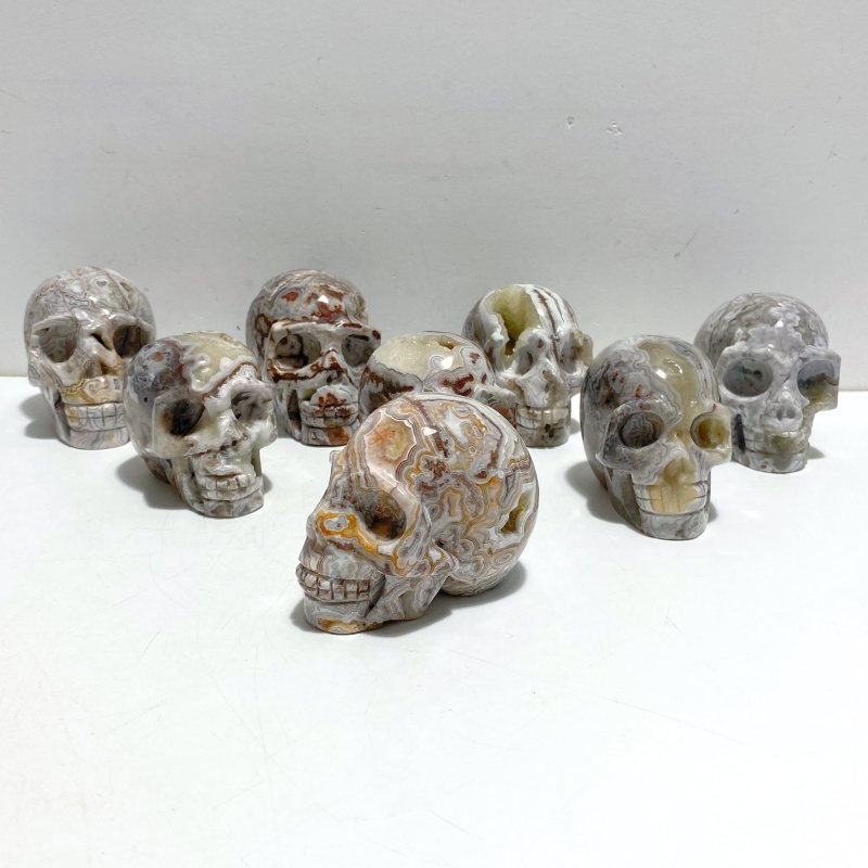 8 Pieces Geode Druzy Morocco Agate Skull Carving 1 - Wholesale Crystals