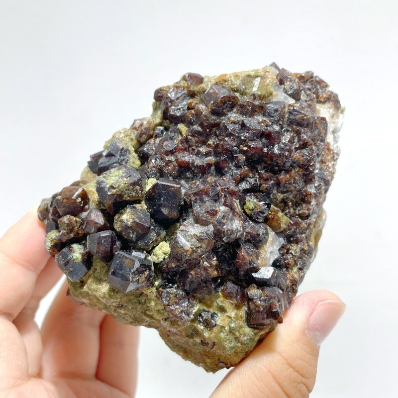 8 Pieces Raw Garnet Specimen 1 - Wholesale Crystals