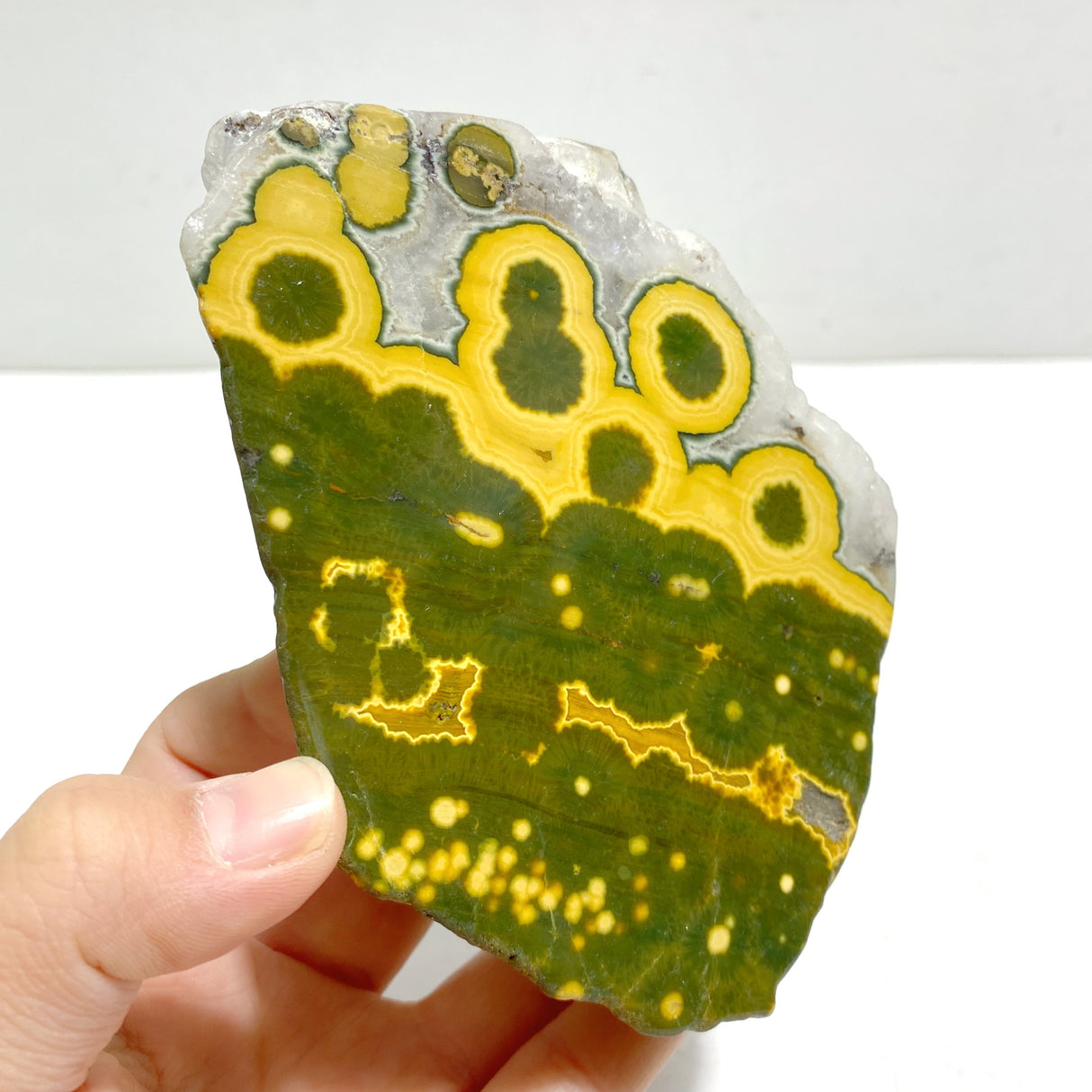 Unique 8th Vein Ocean Jasper Slab With Stand #3