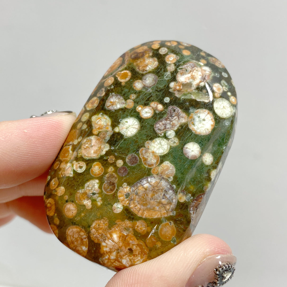 Rainforest Jasper Palm Stone Wholesale